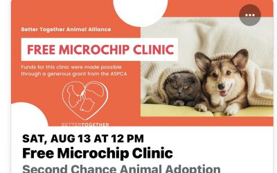 Free microchip clinic aug 13 second chance animal clinic Bonners Ferry