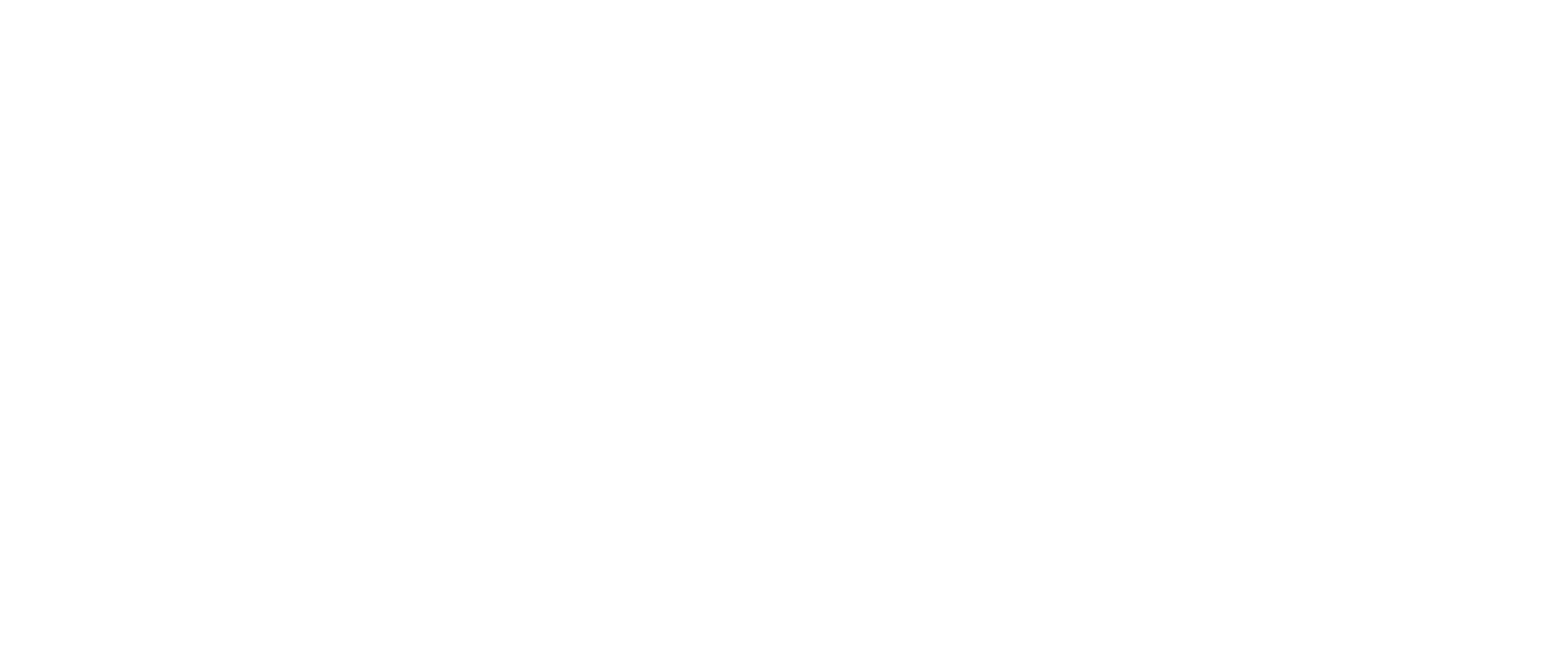 NORTH IDAHO NOW LOGO