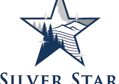 Silver Star Bookkeeping