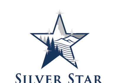 Silver Star Bookkeeping